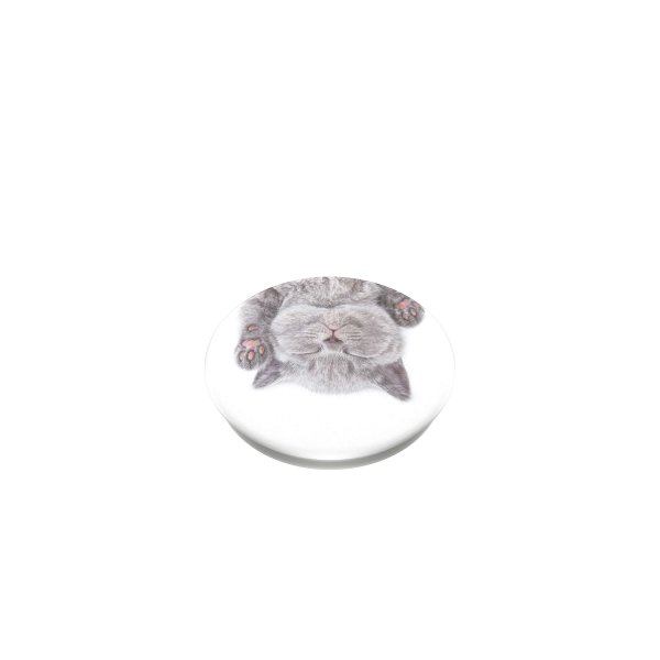 Popsockets PopGrip Cat Nap