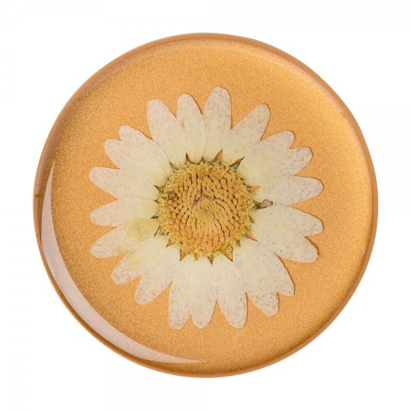 Popsockets PopGrip Pressed Flower White Daisy