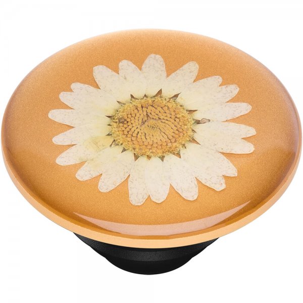 Popsockets PopGrip Pressed Flower White Daisy