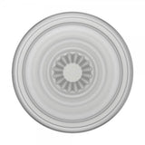 Popsockets PopGrip Plant Faded Stone