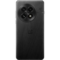 OnePlus 13