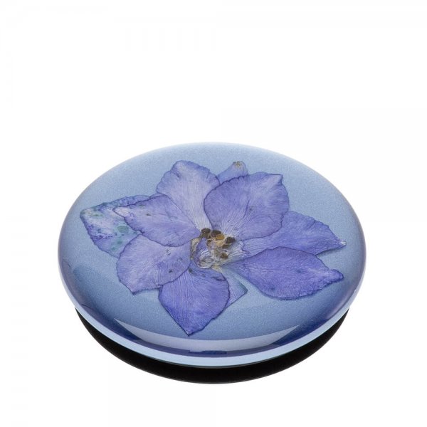 PopGrip Pressed Flower Larkspur